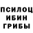 Галлюциногенные грибы Psilocybe walkmore 17