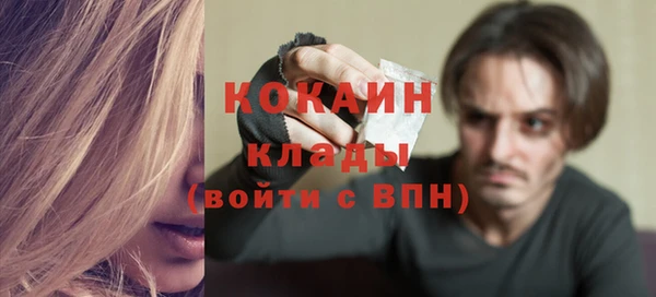 гидропоника Гусев