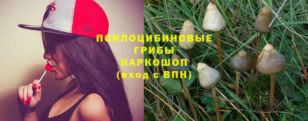 гидропоника Гусев