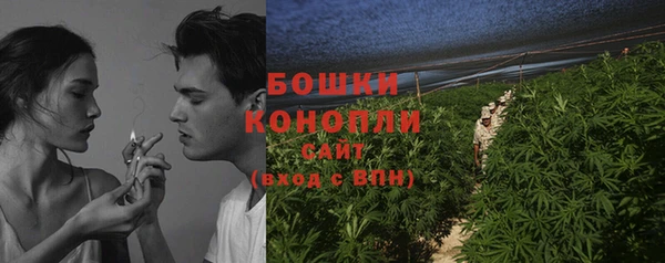 PSILOCYBIN Гусь-Хрустальный