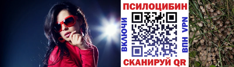Галлюциногенные грибы мухоморы  Купить закладки  Кондрово 